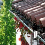 Philadelphia Gutter Wash