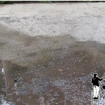 Powerwashing your Driveway Powerwashing your Driveway