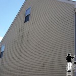vinyl siding with green algae vinyl siding with green algae