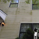 Vinyl Before Cleaning Vinyl Before Cleaning