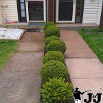 Concrete Sidewalk Pressure Washing