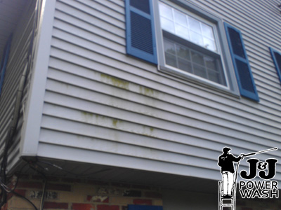 Vinyl Siding Pressure Washing