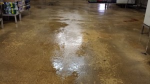 Warehouse After Power Washing Warehouse After Power Washing