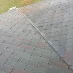 Roof After Power Washing Roof After Power Washing