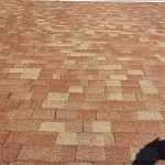 Roof After Cleaning Roof After Cleaning