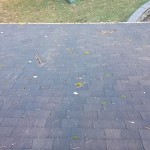 roof cleaning 1 roof cleaning 1