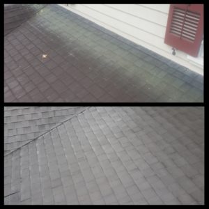 Ardmore Roof Washing