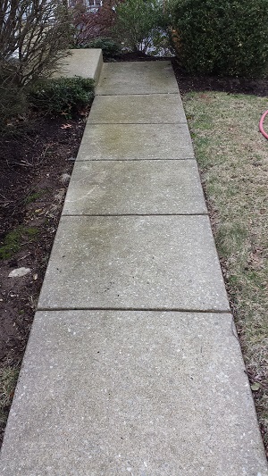 Wayne Walkway Before