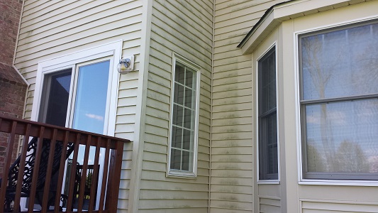 Vinyl Siding Before Cleaning