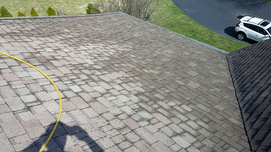 shingles clean