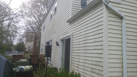 Vinyl Siding Before